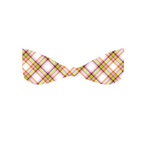 NO. 22 - PLAID