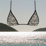 NO. 11 - ZEBRA